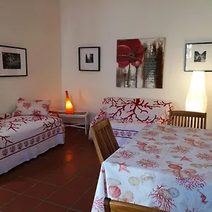 Casa vacanze Livia's House